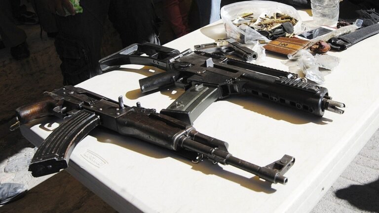 México sí puede demandar a los fabricantes de armas en EE UU